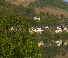 Weingut Mosel - Urlaub beim Winzer