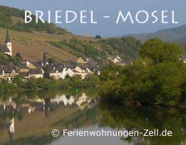 Mosel Weingut - Ferienweingut Mosel