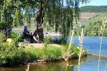 Pension Mosel - Radwege an der Mosel